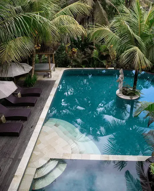 a-1 Tropical resort-style pool surrounded by lush palm trees, with a shallow tanning ledge, lounge chairs, and a relaxing outdoor setting.